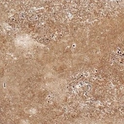 Noce 1.2 cm